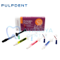 Pulpdent Eco Porselen Tamir Kiti