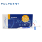 Pulpdent Porselen Silan