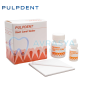 Pulpdent Root Canal Sealer
